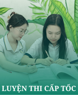 TRUNG TÂM BỒI DƯỠNG VĂN HÓA TRÍ NHÂN VIỆT